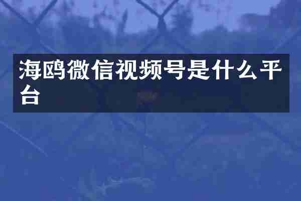 海鸥微信视频号是什么平台