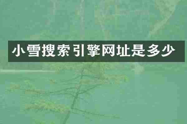 小雪搜索引擎网址是多少