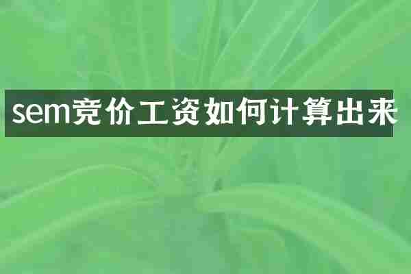 sem竞价工资如何计算出来