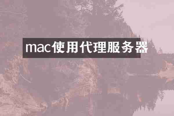 mac使用代理服务器