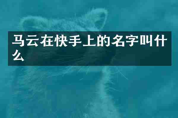 马云在快手上的名字叫什么