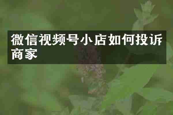 微信视频号小店如何投诉商家