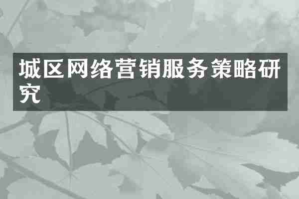 城区网络营销服务策略研究