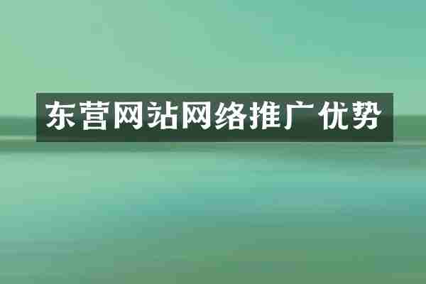 东营网站网络推广优势