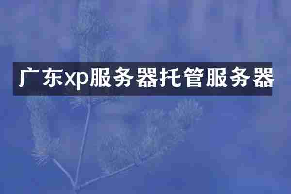 广东xp服务器托管服务器