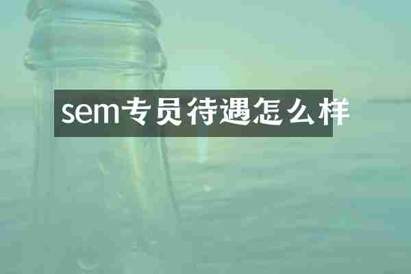 sem专员待遇怎么样