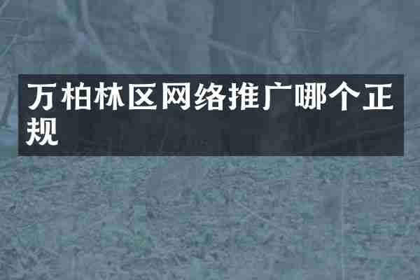 万柏林区网络推广哪个正规
