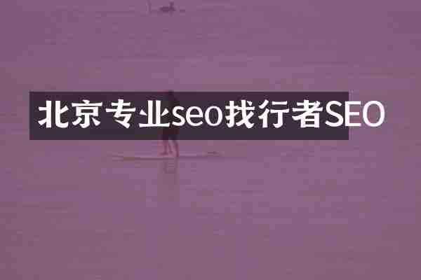 北京专业seo找行者SEO