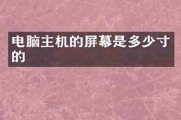 电脑主机的屏幕是多少寸的