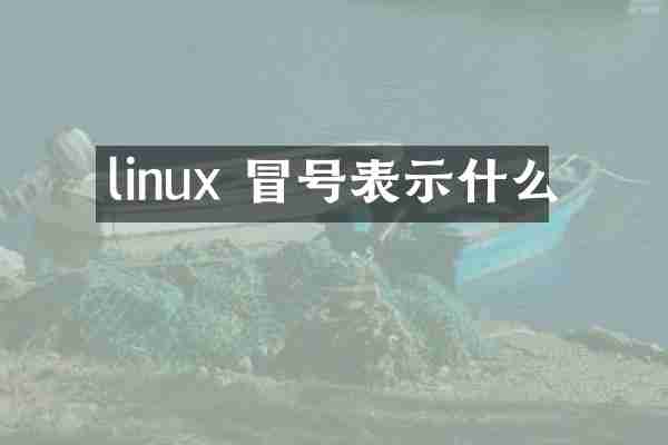 linux 冒号表示什么
