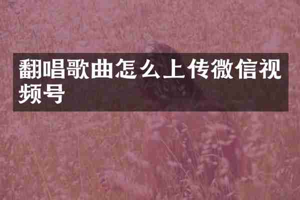 翻唱歌曲怎么上传微信视频号