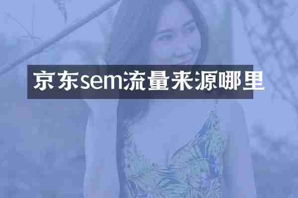 京东sem流量来源哪里