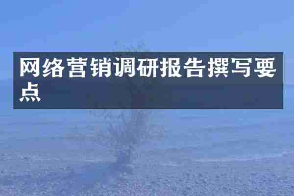 网络营销调研报告撰写要点