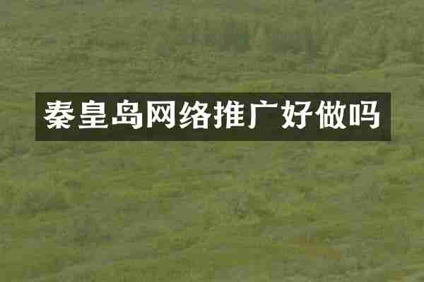 秦皇岛网络推广好做吗