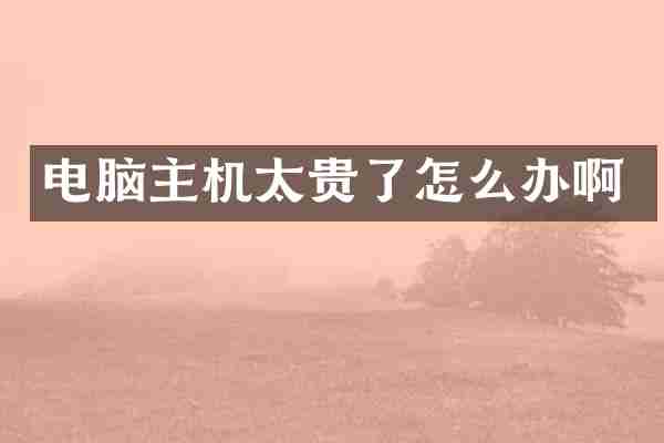 电脑主机太贵了怎么办啊