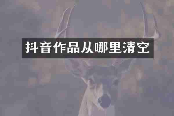 抖音作品从哪里清空