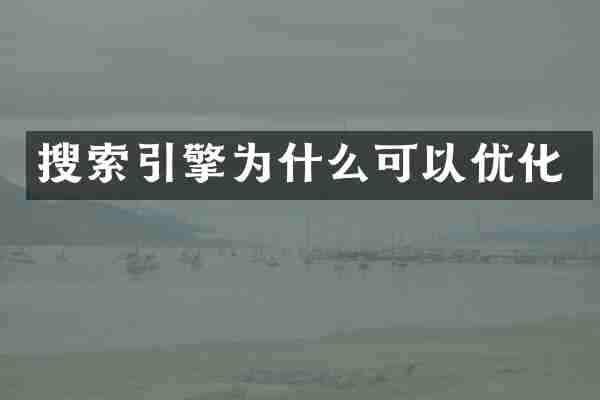 搜索引擎为什么可以优化