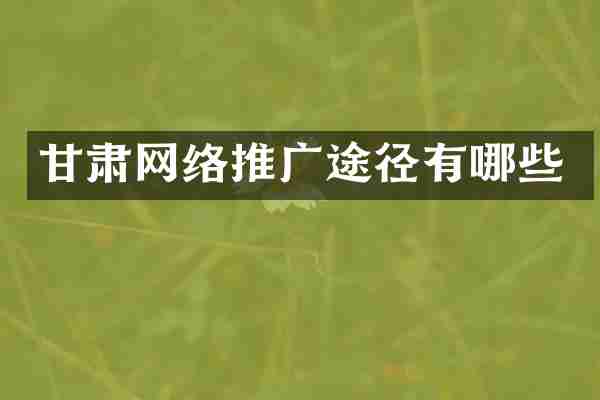 甘肃网络推广途径有哪些