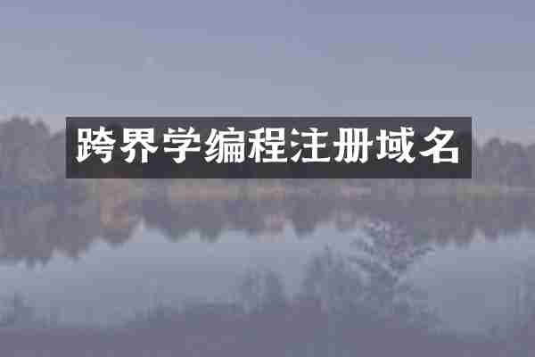 跨界学编程注册域名
