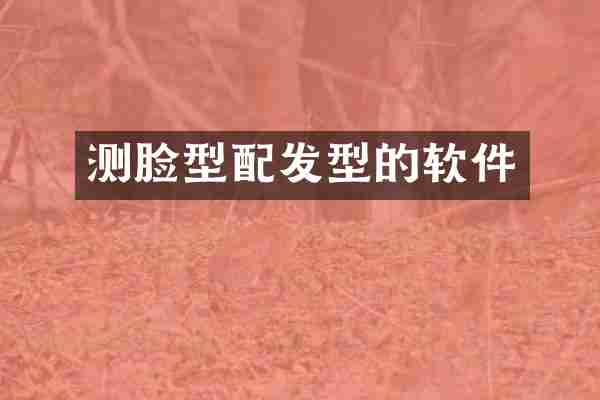 测脸型配发型的软件