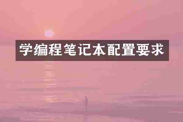 学编程笔记本配置要求