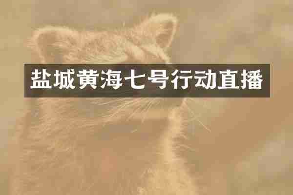 盐城黄海七号行动直播