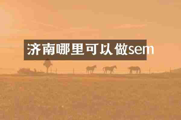 济南哪里可以做sem
