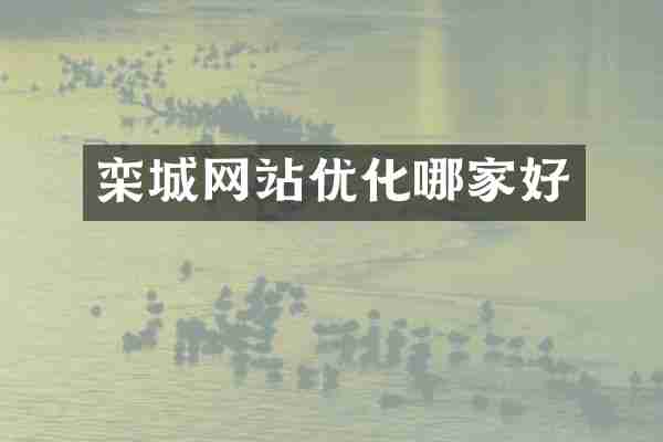 栾城网站优化哪家好