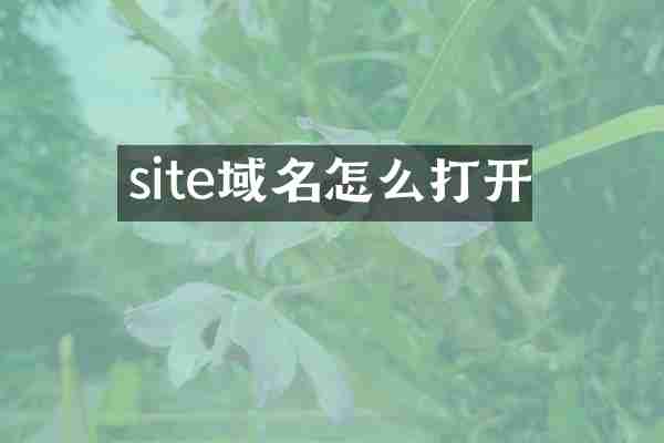 site域名怎么打开