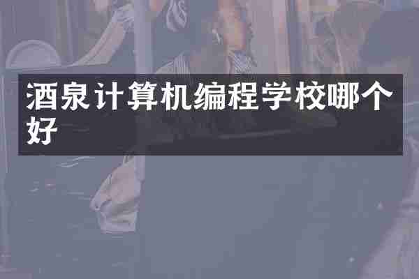 酒泉计算机编程学校哪个好