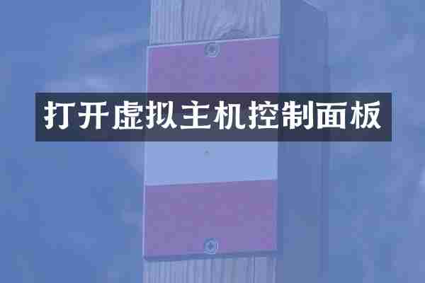 打开虚拟主机控制面板