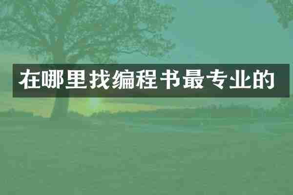 在哪里找编程书最专业的