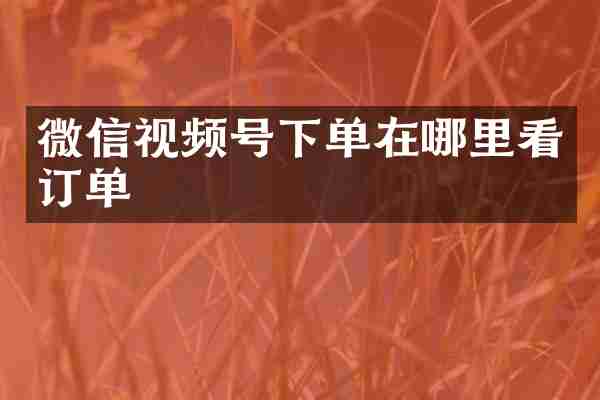 微信视频号下单在哪里看订单