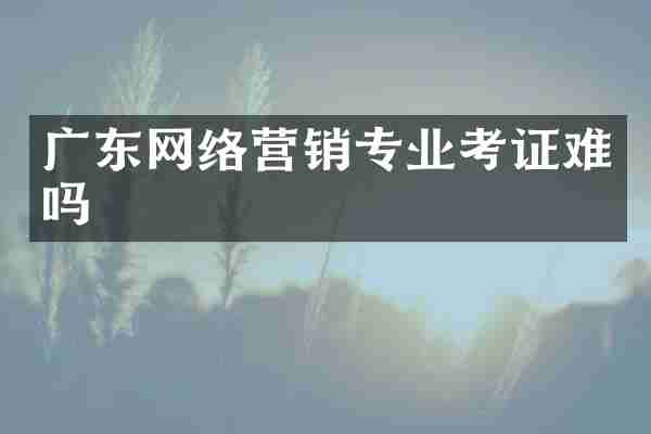 广东网络营销专业考证难吗