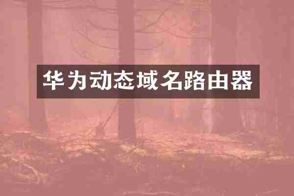 华为动态域名路由器