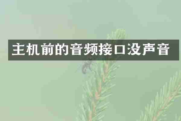 主机前的音频接口没声音