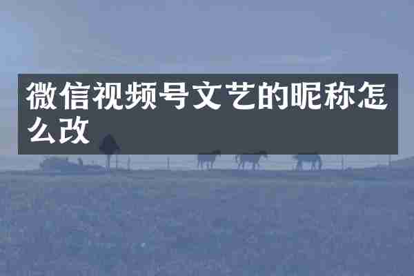 微信视频号文艺的昵称怎么改