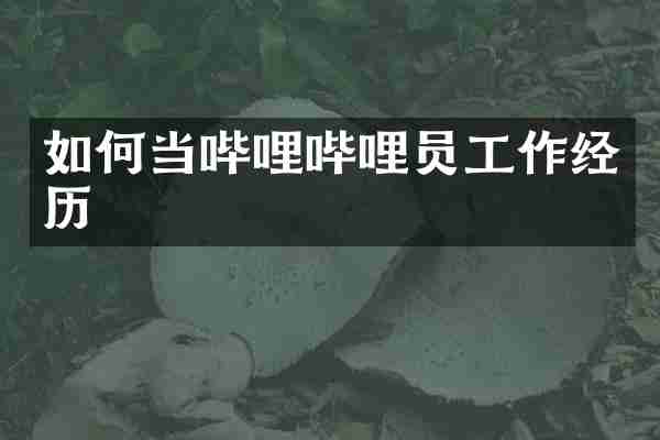 如何当哔哩哔哩员工作经历