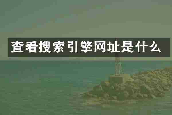 查看搜索引擎网址是什么