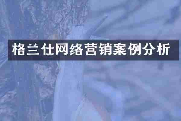 格兰仕网络营销案例分析