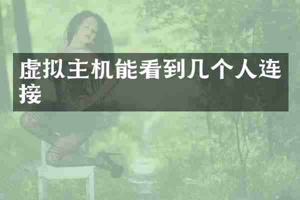 虚拟主机能看到几个人连接