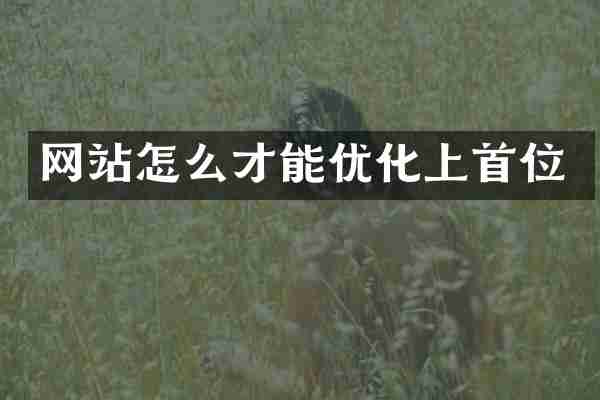 网站怎么才能优化上首位