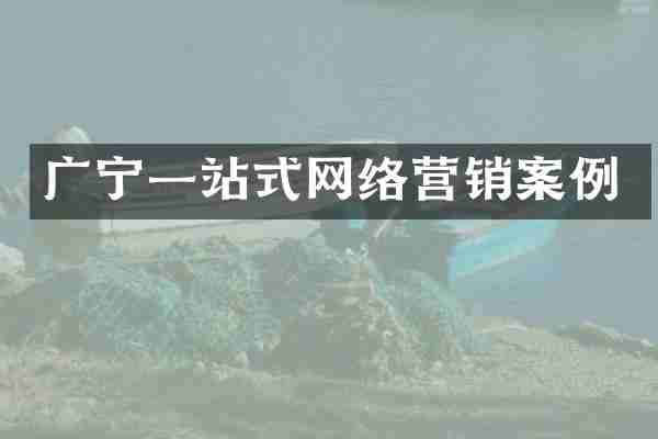 广宁一站式网络营销案例