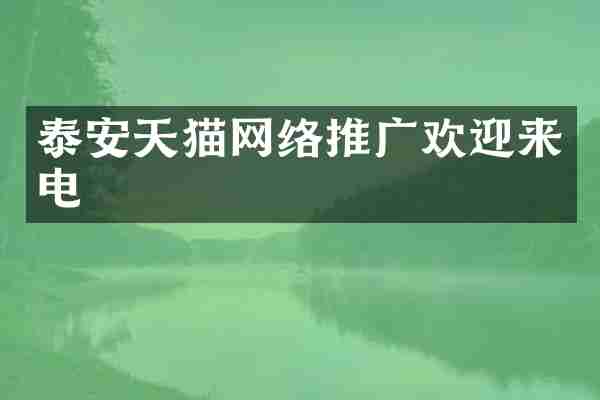 泰安天猫网络推广欢迎来电