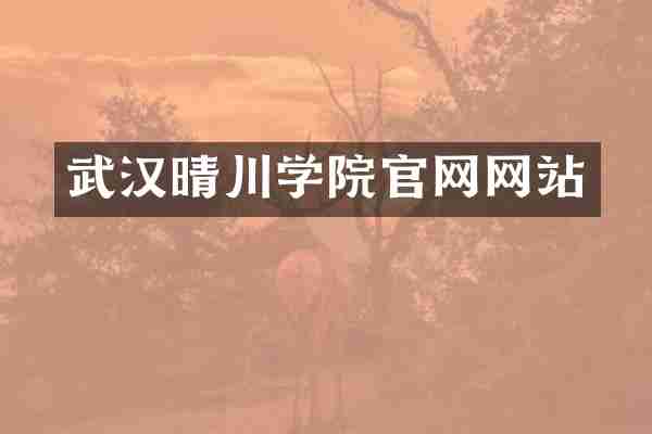 武汉晴川学院官网网站