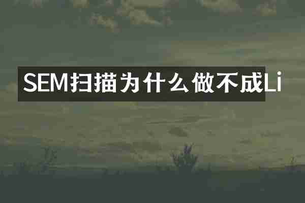 SEM扫描为什么做不成Li
