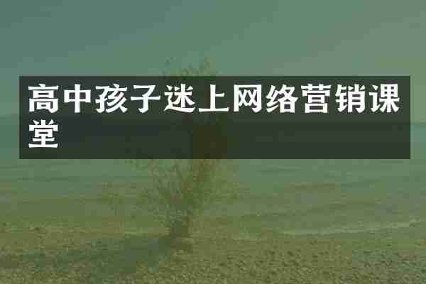 高中孩子迷上网络营销课堂
