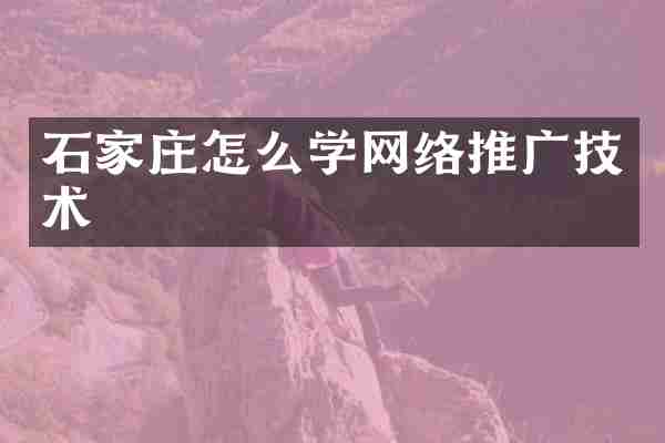 石家庄怎么学网络推广技术