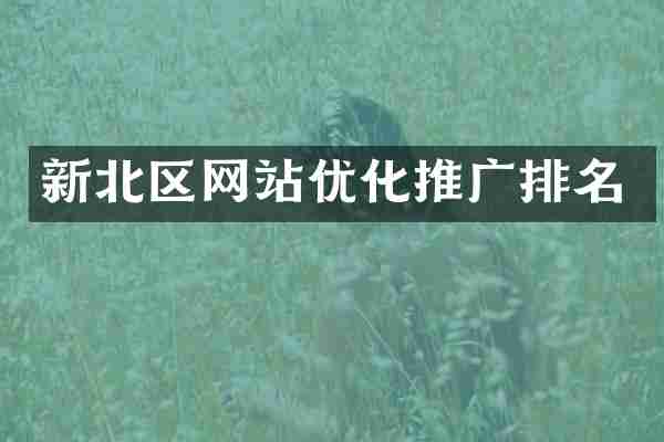 新北区网站优化推广排名