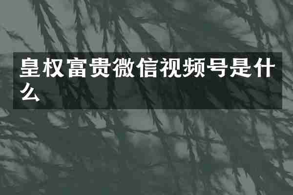 皇权富贵微信视频号是什么